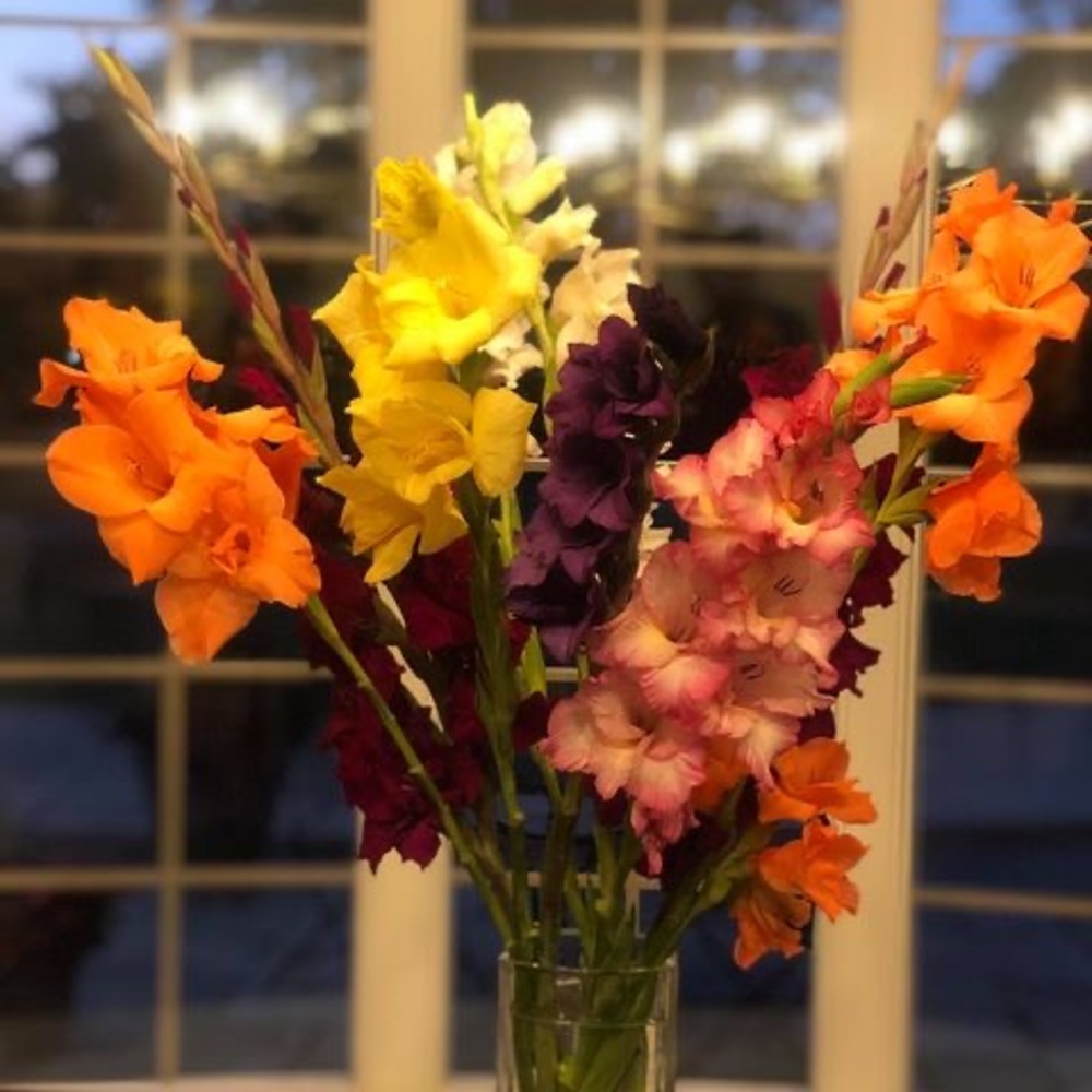 Meet your Posher, Muriel